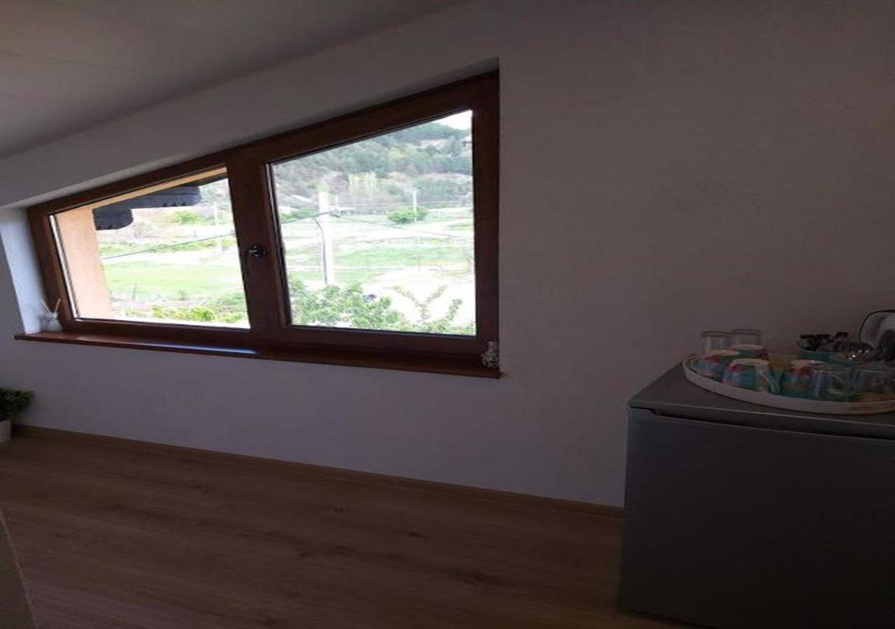 Къща За Гости Демика Saparewa Banja Exterior foto