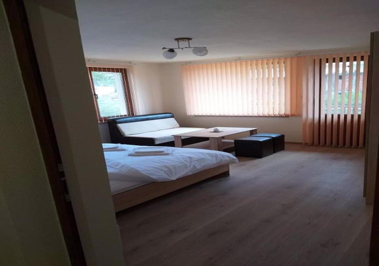 Къща За Гости Демика Saparewa Banja Exterior foto
